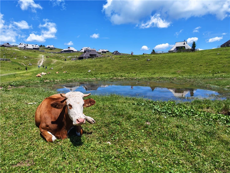 Za pohodovou turistikou do Slovinska a Itálie