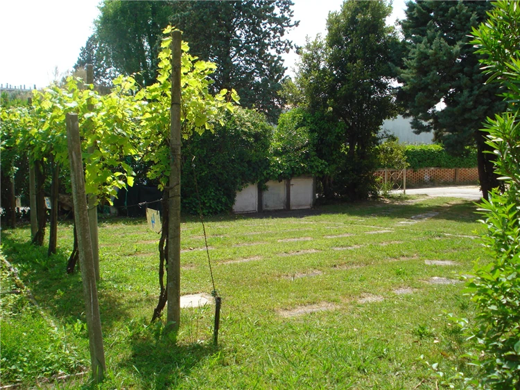 Residence Pleiadi – zelený areál s cestičkami | Caorle - Porto Santa Margherita / Residence Pleiadi