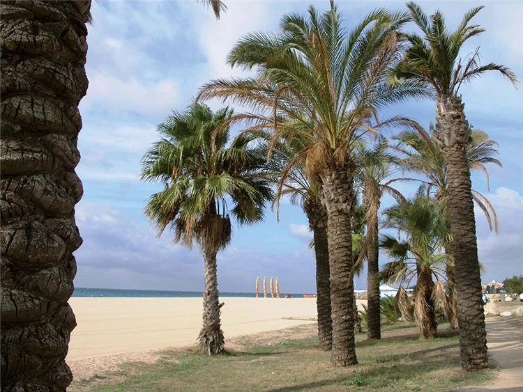 Pláž před hotelem Caprici Beach & SPA v Santa Susanně | Santa Susanna / Hotel Caprici Beach & SPA