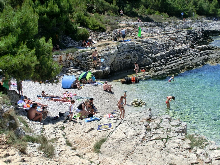 Kemp Stupice Premantura – parcely mezi stromy | Premantura / Kemp Stupice