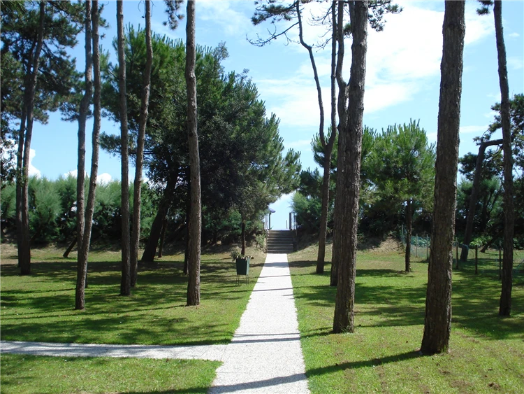 Borový háj u Residence Miramare v Caorle | Caorle - Porto Santa Margherita / Residence Miramare
