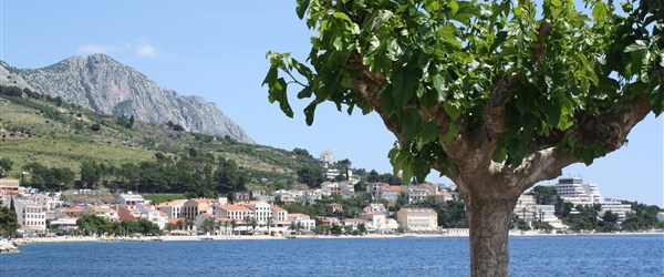 Podgora