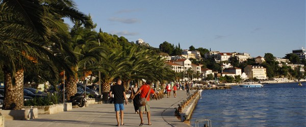 Podgora