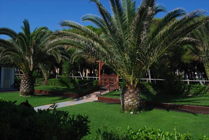 Pláž u hotelu Meripol v Alba Adriatica | Alba Adriatica / Hotel Meripol
