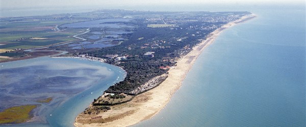 Bibione